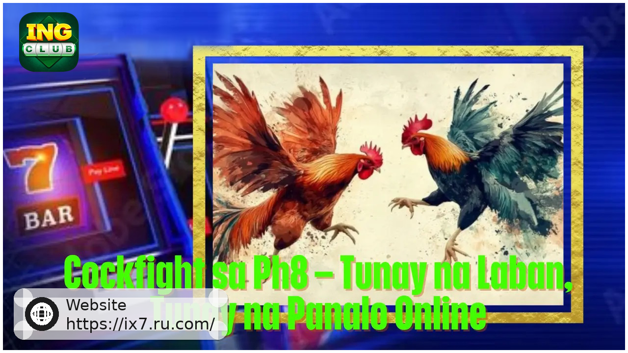 Cockfight on IX7 Real Time Battle Action and Online Entertainment